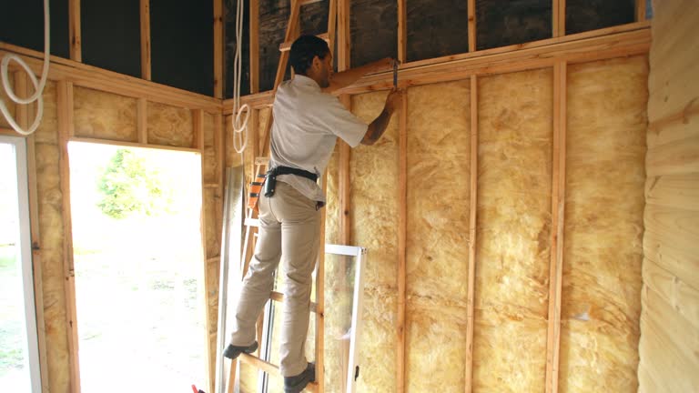 Best Basement Insulation  in La Marque, TX